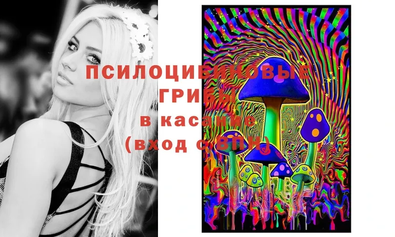 Псилоцибиновые грибы Psilocybe  где можно купить наркотик  Салават 